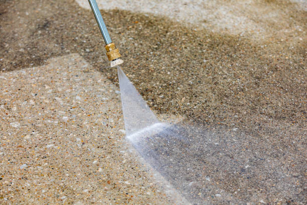 Best Sidewalk and Walkway Cleaning  in Carrollton, IL